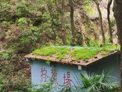 -南山植物园