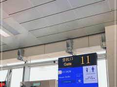 -石家庄正定国际机场-T2航站楼