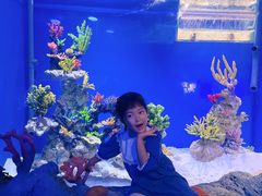 -贝林大翅鲸简餐厅(国家海洋博物馆店)