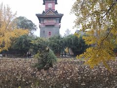 -四川大学(华西校区)