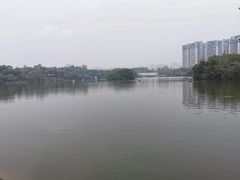 -三圣花乡旅游区