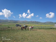 -青海湖国家重点风景名胜区