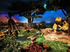 -国家自然博物馆