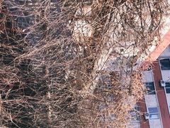 -斯多格书乡(北京大学畅春园店)