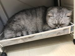 -Oasis绿洲银饰珍珠手作diy(壹方城店)