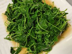 -协和菜馆(凤凰街店)