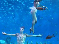 -合肥海洋世界