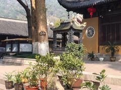 -宝岩生态观光园