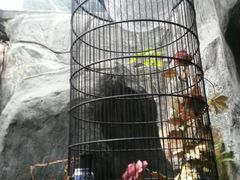 android_upload_pic-同庆堂(解放北路店)