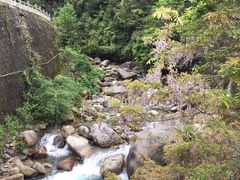 -大明山自然探索公园