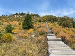-白草畔自然风景区