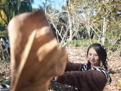 -秋霞圃
