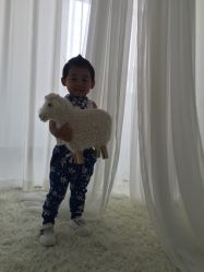 点击看大图 -星宝贝儿童摄影