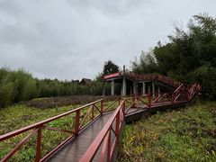 -卓筒井遗址公园