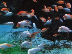 -泉城欧乐堡海洋极地世界