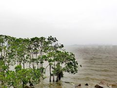 -深圳湾公园(南山区)