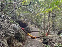 -七仙岭温泉国家森林公园