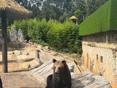 -云南野生动物园