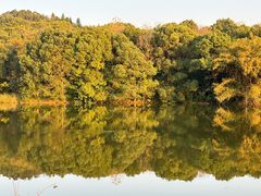 -福建鲤鱼洲酒店