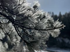 -明月山风景名胜区