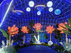 -第35届青岛国际啤酒节