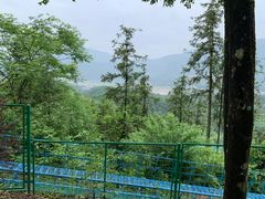 -灵栖洞天