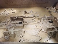 -洛阳周王城天子驾六博物馆