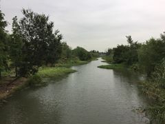 -梁鸿国家湿地公园
