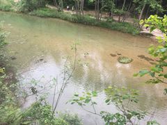 -郧西五龙河风景区