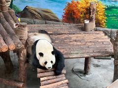 -青藏高原野生动物园