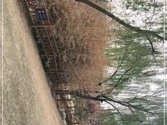 -燕郊植物园