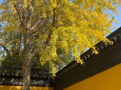 -西园戒幢律寺