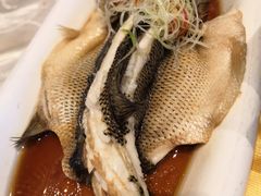 清蒸鲈鱼-红辣椒·川菜·火锅(科华路店)