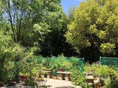 -郑州植物园