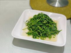 清炒豆苗-天福苑(崇宁路店)
