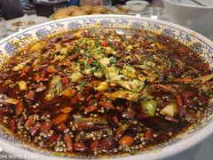 来凤鱼-新概念来凤鱼(璧山店)