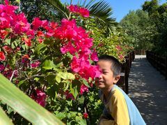 -东寨港红树林旅游区