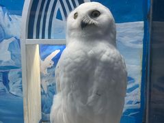 -成都浩海立方海洋公园