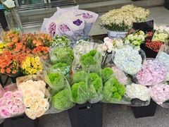 -循礼门鲜花花市(武汉循礼门店)