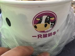 -一只酸奶牛(来福士店)