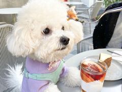 -Wagas沃歌斯(大学路店)