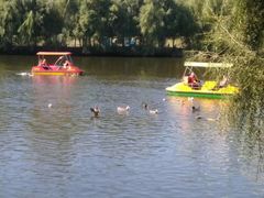 -长白岛森林公园