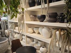 -自由生长植物工作室(深港花卉中心店)
