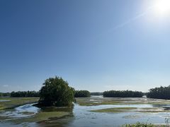 -沙美村