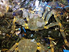 -79号渔船海鲜饭店(华强北店)