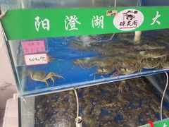 -阳澄湖大闸蟹·琼灵阁牌品牌连锁(吴中总店)