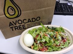 -油梨树AVOCADO TREE(望京店)