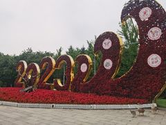 -沈阳鸟岛