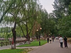 -二一九公园
