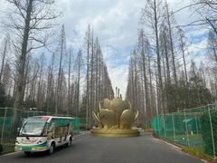 -东平国家森林公园